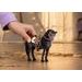 SCHLEICH Klisna Pura Raza Espanola Stallion se sedlem a uzdou