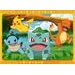 Pokémon 4x100 dílků