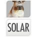 HOMESTYLING Zahradní dekorace pes se solární lampou Labrador 24 cm KO-795201190labr