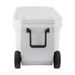 COLEMAN Chladící box 100QT WHEELED MARINE COOLER 2000037402