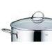 KELA Hrnec nerez se skleněnou poklicí 5 l CAILIN KL-10960