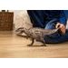 SCHLEICH Prehistorické zvířátko - Carcharodontosaurus