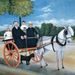 NOTIQUE Poznámkový kalendář Henri Rousseau 2027, 30 x 30 cm