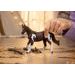 SCHLEICH Zvířátko - Klisna paint horse