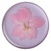 PopSockets PopGrip Gen.2, Pressed Flower Delphinium Pink, růžový kvítek zalitý v pryskyřici