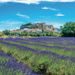 NOTIQUE Poznámkový kalendář Provence 2027, 30 x 30 cm