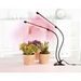 Xavax Stick, LED lampa pro rostliny