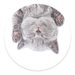 PopSockets PopGrip Gen.2, Cat Nap