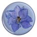 PopSockets PopGrip Gen.2, Pressed Flower Larkspur Purple, fialový kvítek zalitý v pryskyřici
