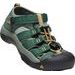 KEEN NEWPORT H2 Y-GREEN GABLES / WOOD THRUSH