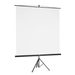 Hama projekční plátno 2v1, 180x180 cm, úhlopříčka: 255 cm, se stativem, přenosné, bílé