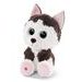 NICI Glubschis plyš Pes Husky Barkley 25cm
