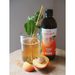 TOPNATUR Kombucha Broskev 500 ml