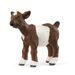 SCHLEICH Zvířátko - Kůzle