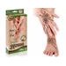 TyToo Henna Hand&Foot