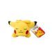 Pokémon Sleeping Plyš (Assortment) W1