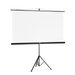 Hama projekční plátno 2v1, 180x180 cm, úhlopříčka: 255 cm, se stativem, přenosné, bílé