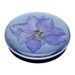 PopSockets PopGrip Gen.2, Pressed Flower Larkspur Purple, fialový kvítek zalitý v pryskyřici