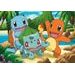 Pokémon 2x24 dílků