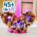 HASBRO - Furby HASBRO - Furby Furblet CHEE-CHEE