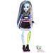 Monster High panenka monsterka - FRANKIE