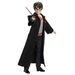 Harry Potter panenka - HARRY