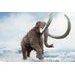 SCHLEICH Prehistorické zvířátko - Mamut