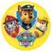 Míč Paw Patrol 100 mm