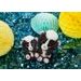 NICI Glubschis plyš Skunk Suppi 25cm
