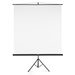 Hama projekční plátno 2v1, 180x180 cm, úhlopříčka: 255 cm, se stativem, přenosné, bílé