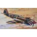 CURTISS P - 40K 1:72