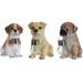 HOMESTYLING Zahradní dekorace pes se solární lampou Labrador 24 cm KO-795201190labr