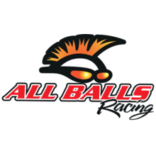 All Balls Racing