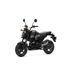 HONDA MSX125 - ČERNÁ 2025 - STREET & TOURING - MOTORKY