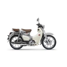 HONDA C125 SUPER CUB - STŘÍBRNÁ 2026 - SUPER CUB C125 - MOTORKY