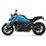 R 1300 R