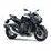 Ninja H2