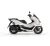 Honda PCX DX 125 -  Pearl Snowflake White - 2026