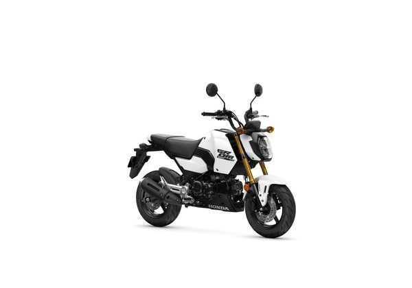 HONDA MSX125 - BÍLÁ 2025 - STREET & TOURING - MOTORKY