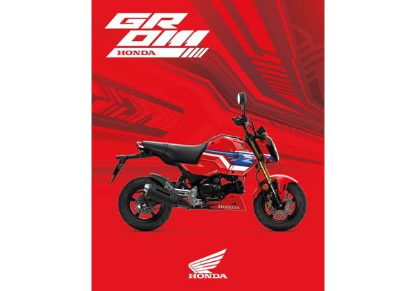 HONDA MSX125 GROM - GAYETY ČERVENÁ 2026 - STREET & TOURING - MOTORKY