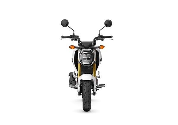 HONDA MSX125 - BÍLÁ 2025 - STREET & TOURING - MOTORKY