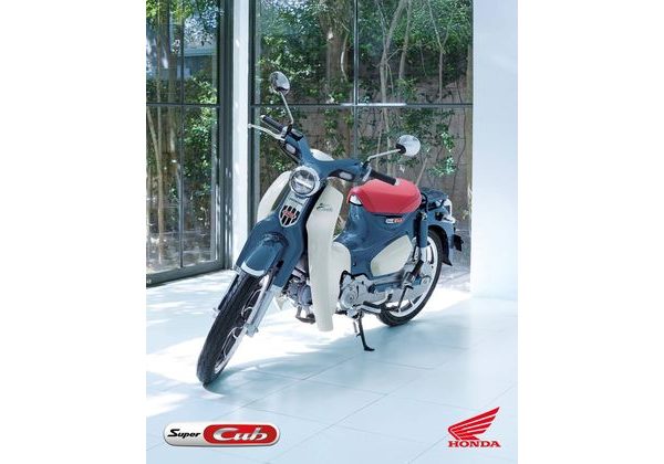 HONDA C 125 SUPER CUB - MODRÁ 2025 - SUPER CUB C125 - MOTORKY