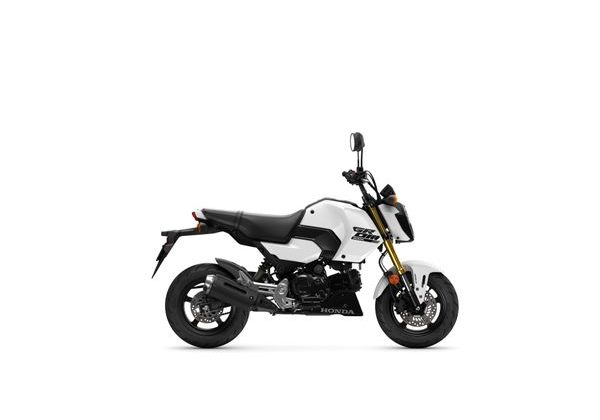 HONDA MSX125 - BÍLÁ 2025 - STREET & TOURING - MOTORKY