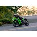 KAWASAKI NINJA 500 SE - ZELENÁ 2027 - SUPERSPORT & SPORT - MOTORKY
