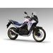 HONDA XL750 TRANSALP - BÍLÁ 2026 - XL750 TRANSALP - MOTORKY