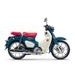 HONDA C 125 SUPER CUB - MODRÁ 2025 - SUPER CUB C125 - MOTORKY