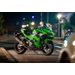 KAWASAKI NINJA 500 SE - ZELENÁ 2026 - SUPERSPORT & SPORT - MOTORKY