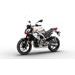 APRILIA TUONO 457 PUMA GREY 2025 - SPORTNAKED - MOTORKY