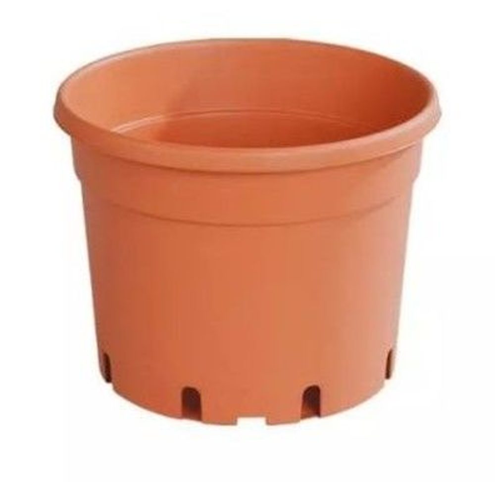 květ. d19cm CLASSIC MCI /dez+EAN/3,0I, TER