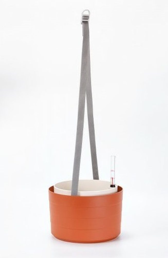 žardina d26cm TER/slon.kost BERBERIS, závěsná